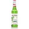 Monin Cucumber Syrup