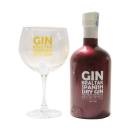 Ginbraltar Citrus Gin + Glas