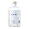 Pentire Adrift Botanical Spirits