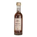 Vermouth di Torino Cocchi Storico 5CL