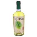 Schiso liqueur - Dennis Zoppi