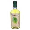 Licor de Schiso - Dennis Zoppi