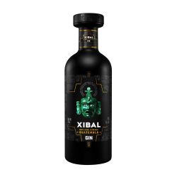 Xibal GIn