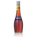 Liquore Bols Dry Orange Curacao