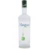 Liquore Giffard Sour Apple