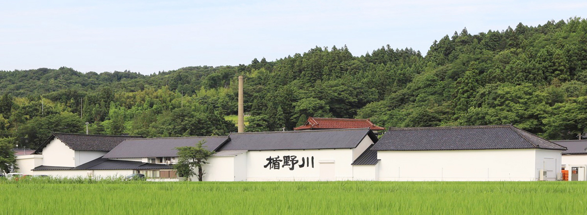 Tatenokawa Brewery