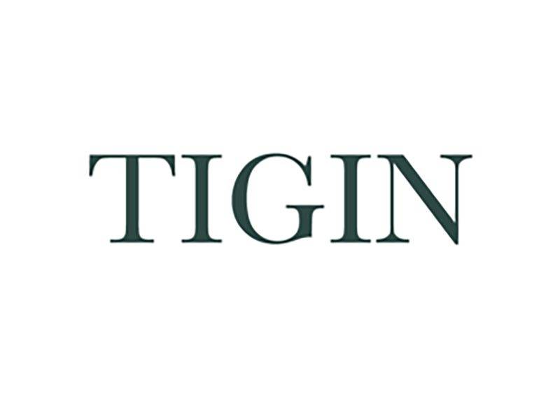 TiGin