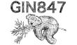 Gin 847