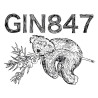 Gin 847